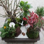 迎春の寄せ植え教室