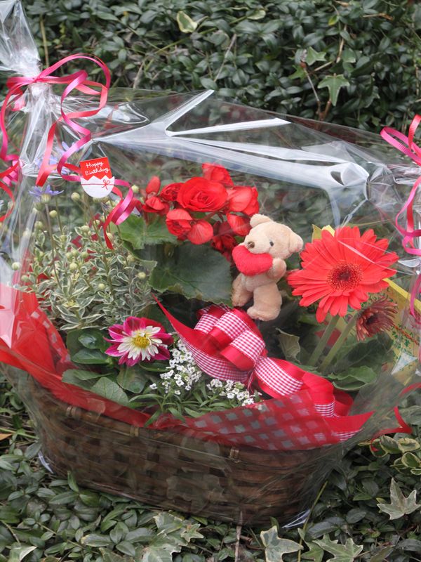 お誕生日＆還暦のお祝いに☆