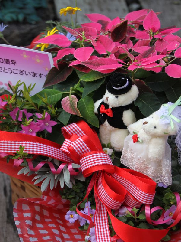 結婚４０周年のお祝いに☆