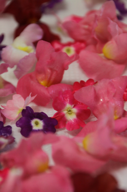 What is エディブルフラワー？