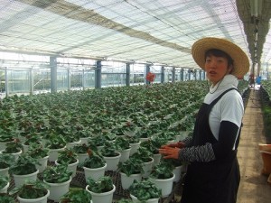 「エコロの森」ブログに掲載されました！！