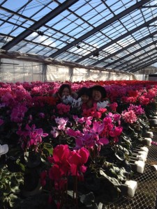 1471187_547042345390314_63712116_n