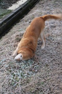 999796_547623811982356_1619718963_n