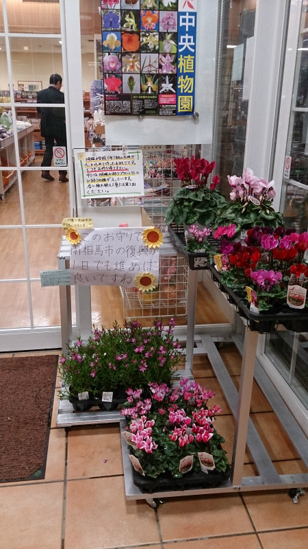 ヨッテカーレ城端の売り場情報！！