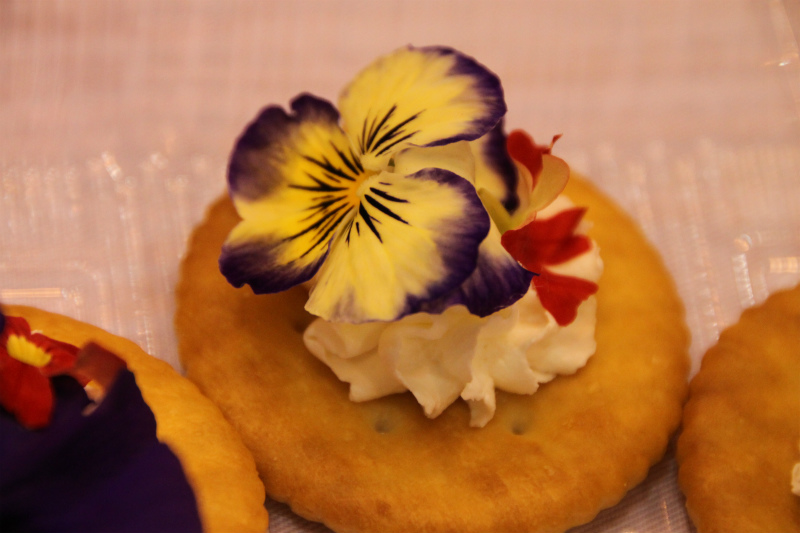 とやまで発掘！！大商談会！！