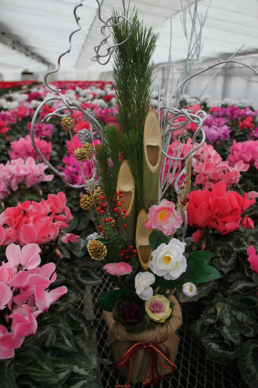 門松・松竹梅・冬の寄せ植え三種盛り♪