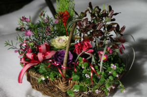 IMG_9061 - コピー