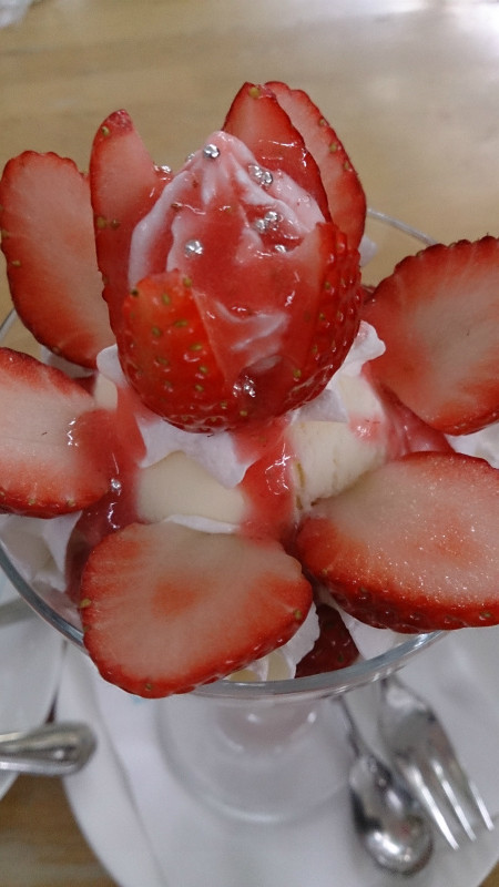 お正月大満喫！！