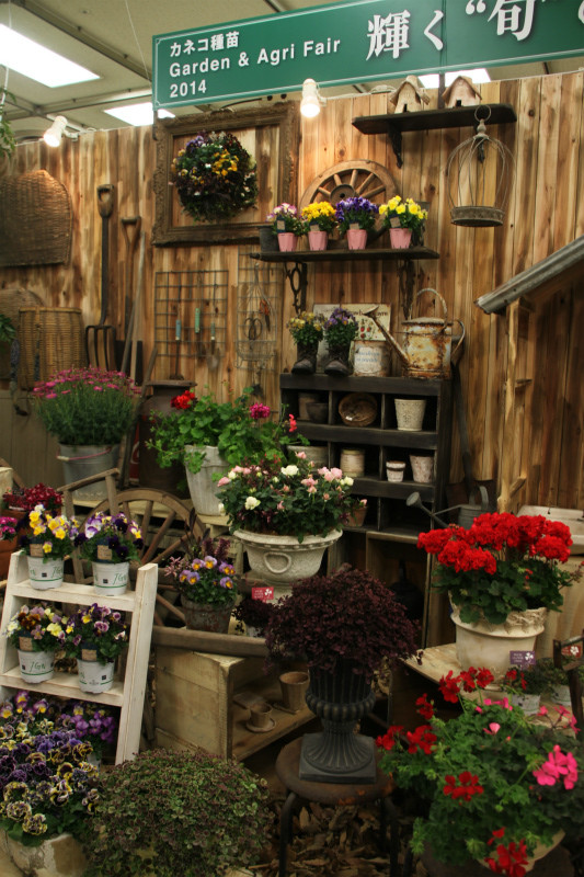 ただいま富山！！