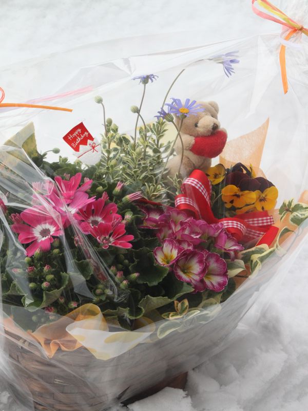 お母様のお誕生日に☆