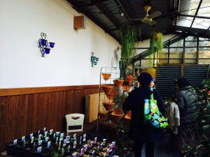 923465_639153776150353_803102600_n