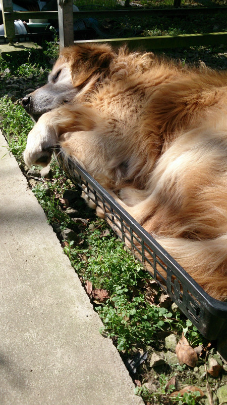 ぽかぽか日和♪