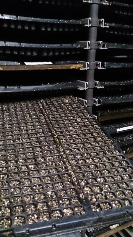 こんにちはあかちゃん♪