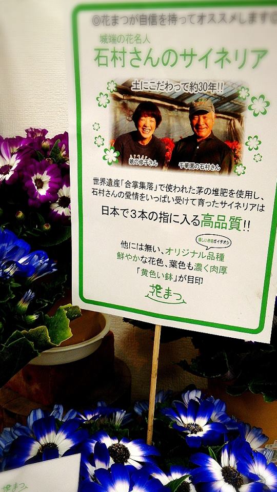 「うぉんてっど！！」