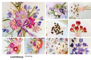 10006538_648666861865711_624107992_n