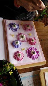 1013808_592633754148028_1643663111_n