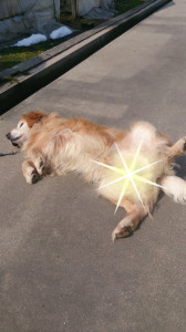 2014-03-13-05-58-20_deco