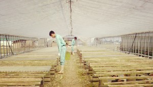 2014-03-28-16-20-34_deco