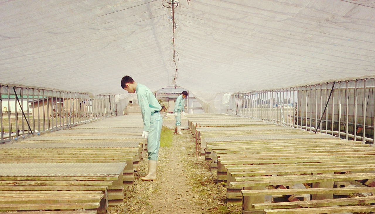 高校生の一週間実習