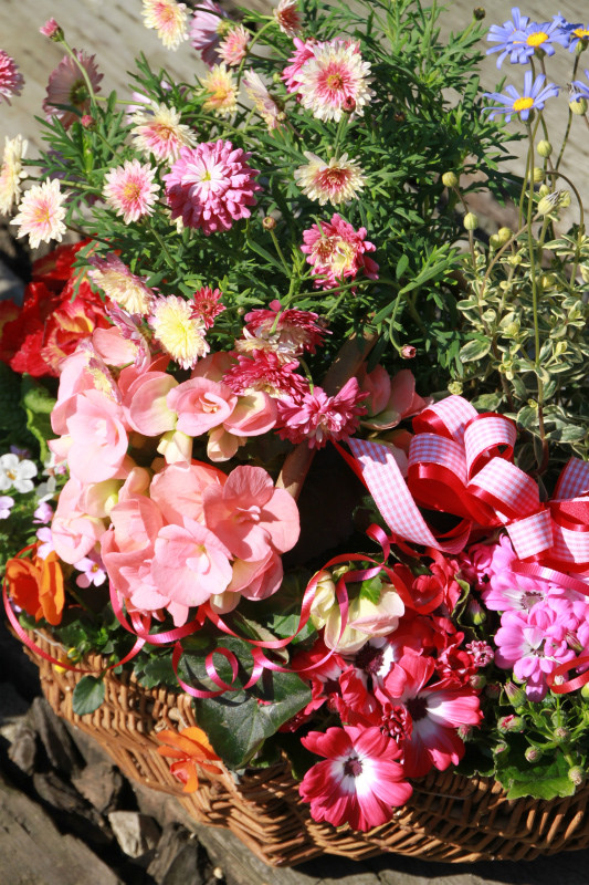 フラワーンダフルギフト☆