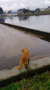 10150683_608052785939458_8114146674874942122_n