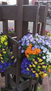 10151422_610605082350895_2121703839103142586_n