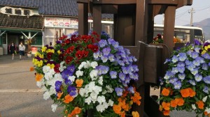 10154170_610605405684196_1889916265319066410_n