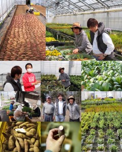 10170840_623164027771309_149568031_n