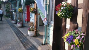 10245296_610605332350870_5361426455668769091_n