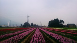 10259267_606365026108234_2929314269191876846_o