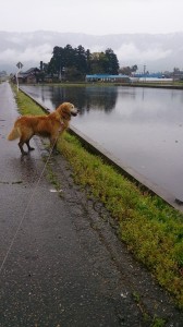 10259955_608052672606136_94670987055492947_n