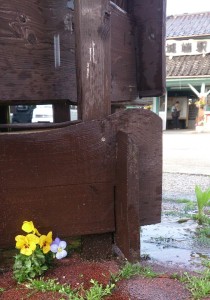 10262165_610605472350856_4382304632778964303_n