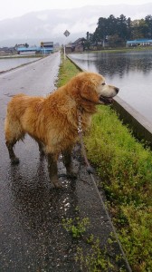 10288795_608052702606133_497029377581708985_n