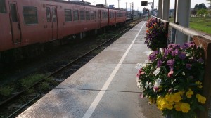 10302644_610605185684218_4796866827840342156_n