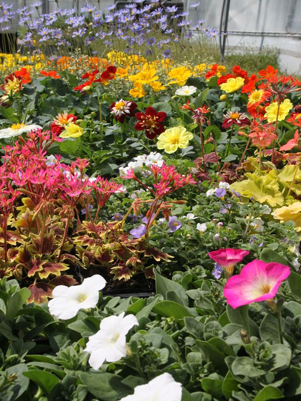 ちょっとうれしい話♪