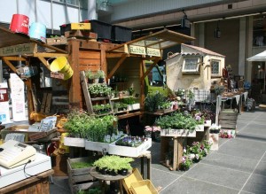 1486840_554060721340603_980399367_n