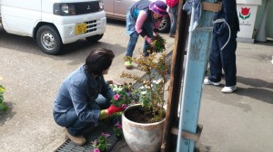 1491350_242926985891805_7804181040311673395_o