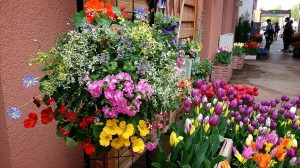 1507521_608573989220671_4455429888301024478_o