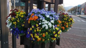 1517607_610605365684200_4963002361158721066_n