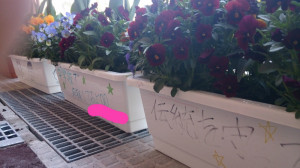 2014-04-07-19-05-41_deco