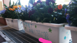 2014-04-07-19-07-10_deco