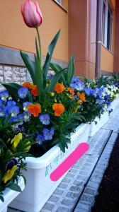 2014-04-07-19-08-50_deco