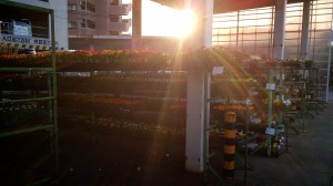 2014-04-09-18-51-06_deco