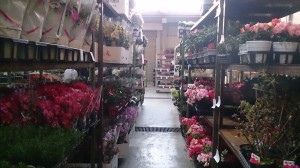 2014-04-09-21-24-33_deco