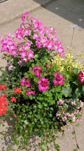 2014-04-28-19-49-50_deco