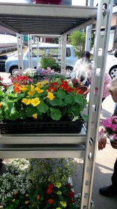 2014-04-28-19-52-33_deco