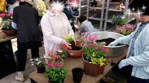 2014-04-28-19-53-49_deco