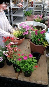 2014-04-28-19-56-28_deco