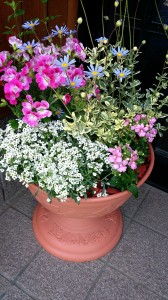 2014-04-28-19-57-09_deco