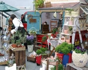 903920_555307954549213_777287259_o